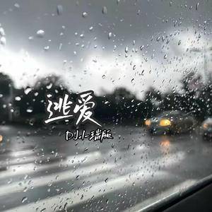 逃爱 (DJ版)
